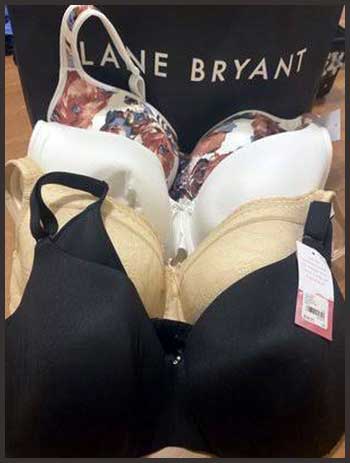 Lane Bryant