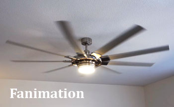 Fanimation Ceiling Fans