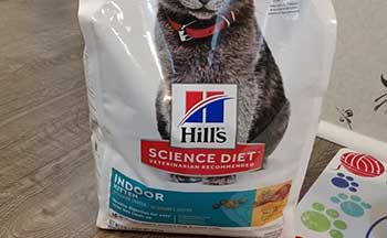 Science Diet Indoor Kitten