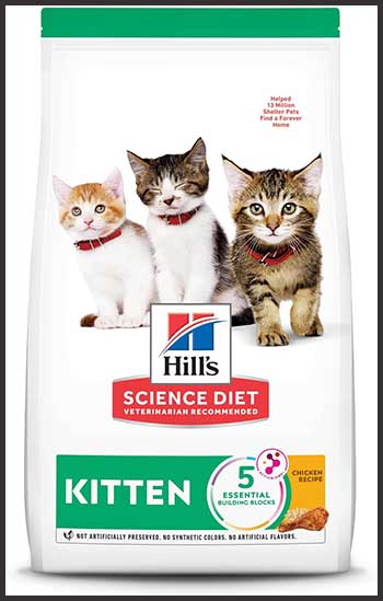 Science Diet Kitten 