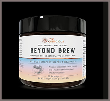 Beyond Brew