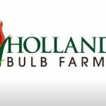 holland bulb farms reviews