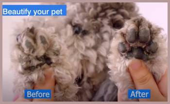 saffory dog trimmer before-after