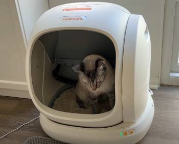 meowant litter box inside