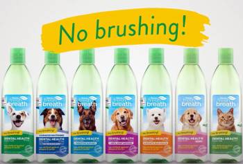 tropiclean fresh breath products