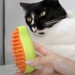 Steamy Cat Brush