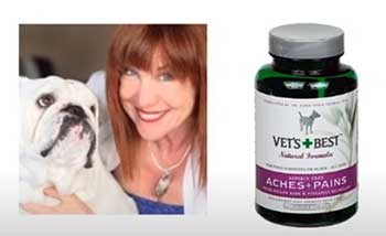 Vet’s Best Aches & Pains