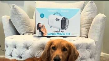 Uproot Grooming Kit