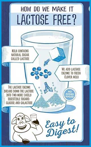 clover lactose free milk