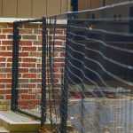 dog proofer fence