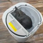 The Furoomate Litter Box