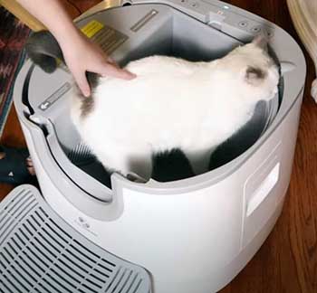 The Furoomate Litter Box
