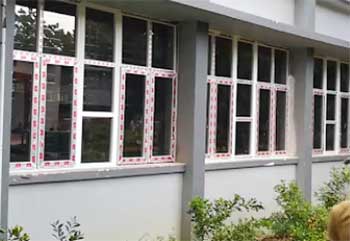 Alpine Windows