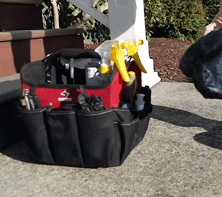 axiom eco-pest control reviews
