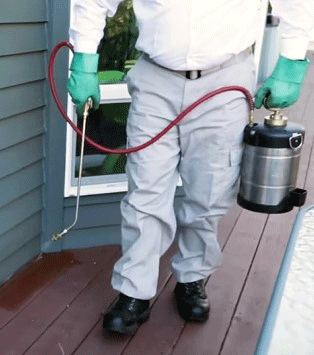 axiom eco-pest control reviews