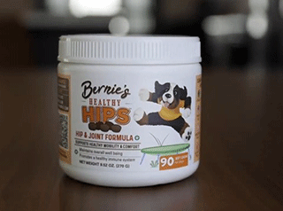 bernie's healthy hips reviews