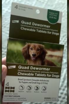 Elanco Chewable Quad Dewormer for Large Dogs