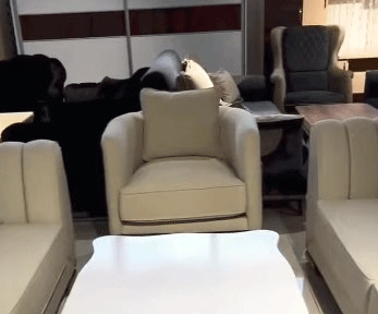 exotic home furniture reviews