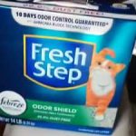 fresh-step-outstretch-reviews