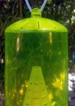 rescue yellow jacket trap review