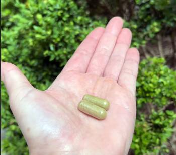 Clean Nutra Sea Moss
