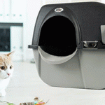 zeacotio-litter-box-review