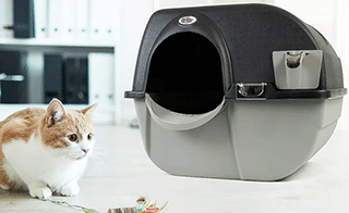 zeacotio litter box review