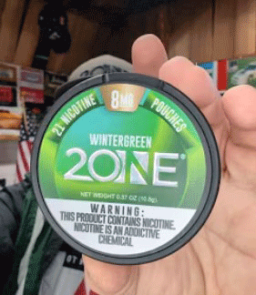 2ONE nicotine pouches review