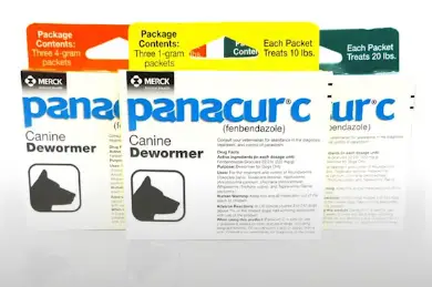 panacur c canine dewormer