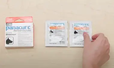 panacur c canine dewormer