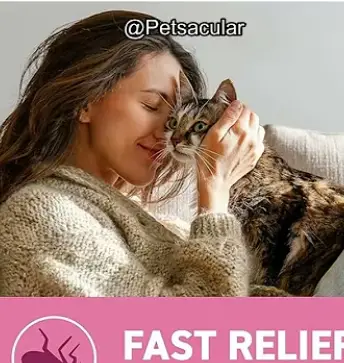 capstar flea treatment
