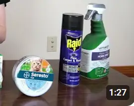 Capstar Flea Treatment: