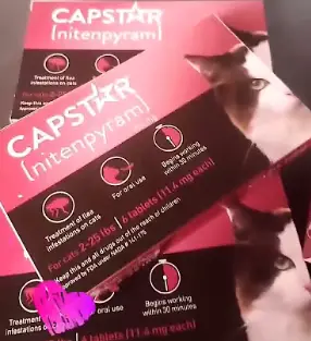 Capstar Flea Treatment: