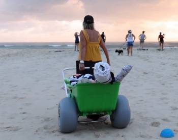 Wheeleez Beach Cart