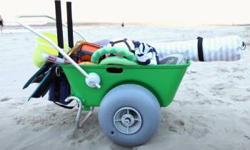 Wheeleez Beach Cart