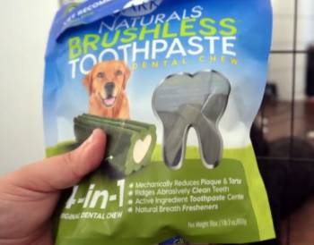 Ark Naturals Brushless Toothpaste