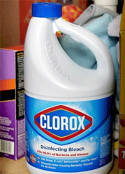 clorox bleach and blue review