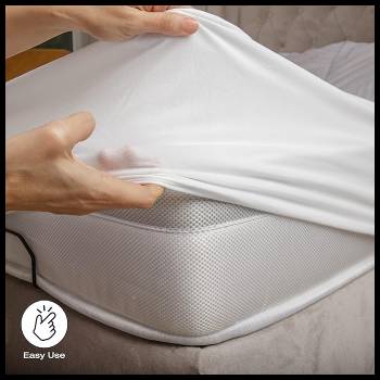 Dowry World Mattress Cover