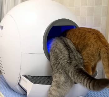 ELS PET Self-Cleaning Litter Box