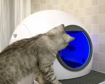 ELS PET Self-Cleaning Litter Box