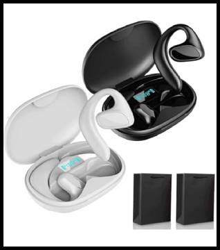 Flegobey Translator Earbuds