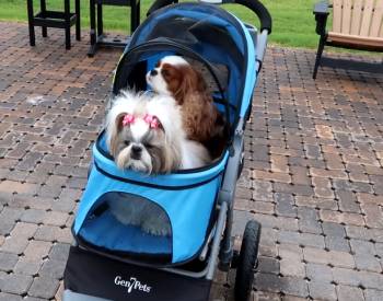 Gen7 Monaco Pet Stroller