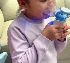 nainley portable nebulizer reviews