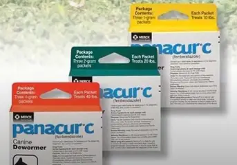 panacur c canine dewormer