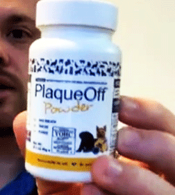 proden plaqueoff powder reviews
