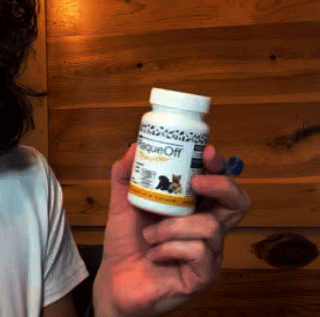 proden plaqueoff powder reviews