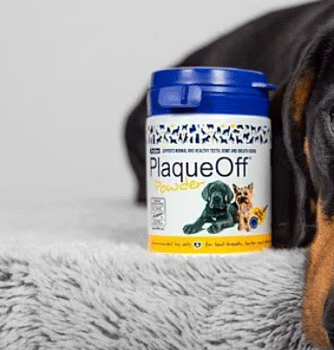 proden plaqueoff powder reviews