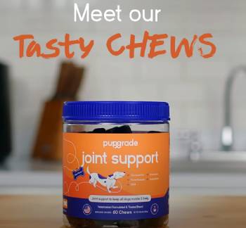 Pupgrade Joint Support