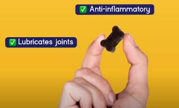 Pupgrade Joint Support