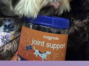 Pupgrade Joint Support